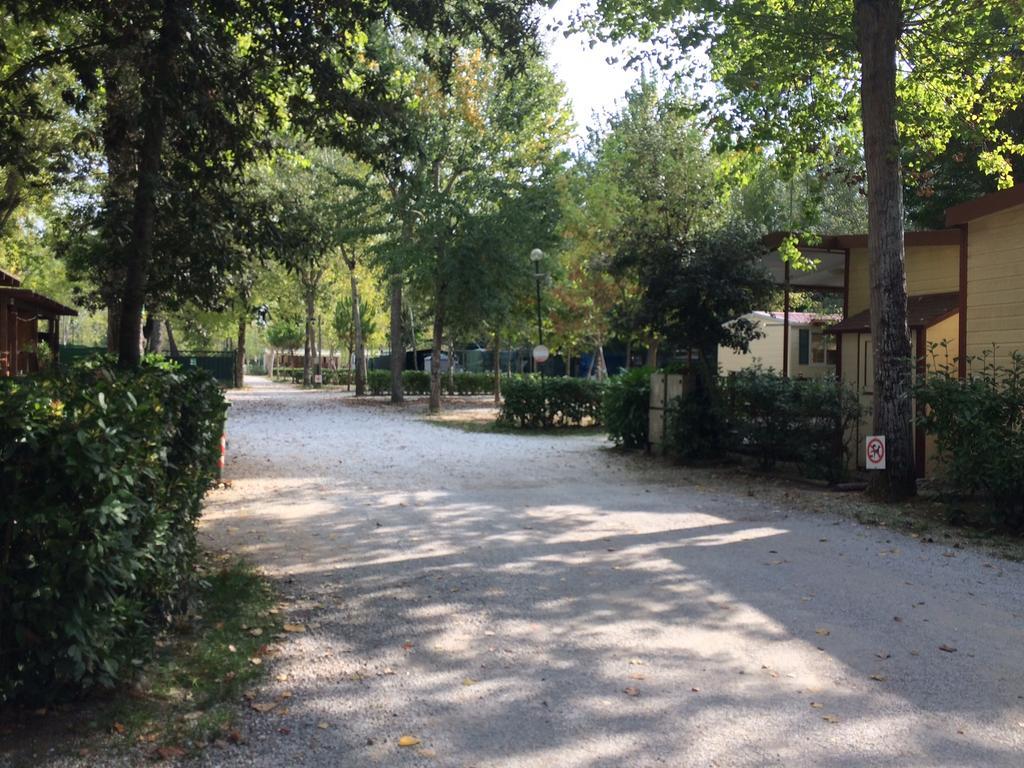 Campeggio Boscoverde Torre del Lago Puccini Kültér fotó