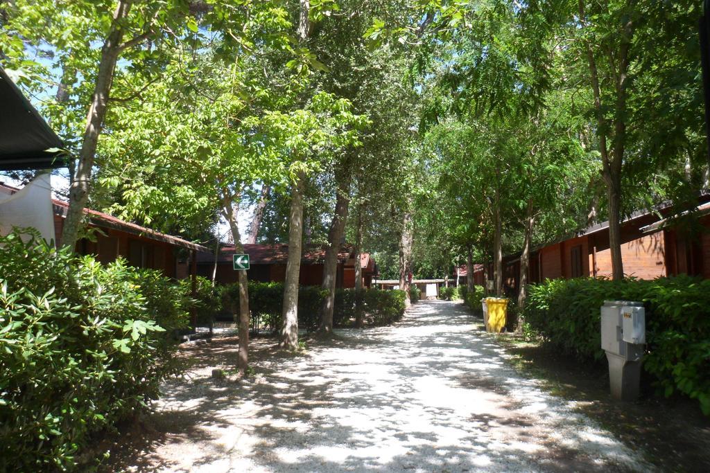 Campeggio Boscoverde Torre del Lago Puccini Kültér fotó