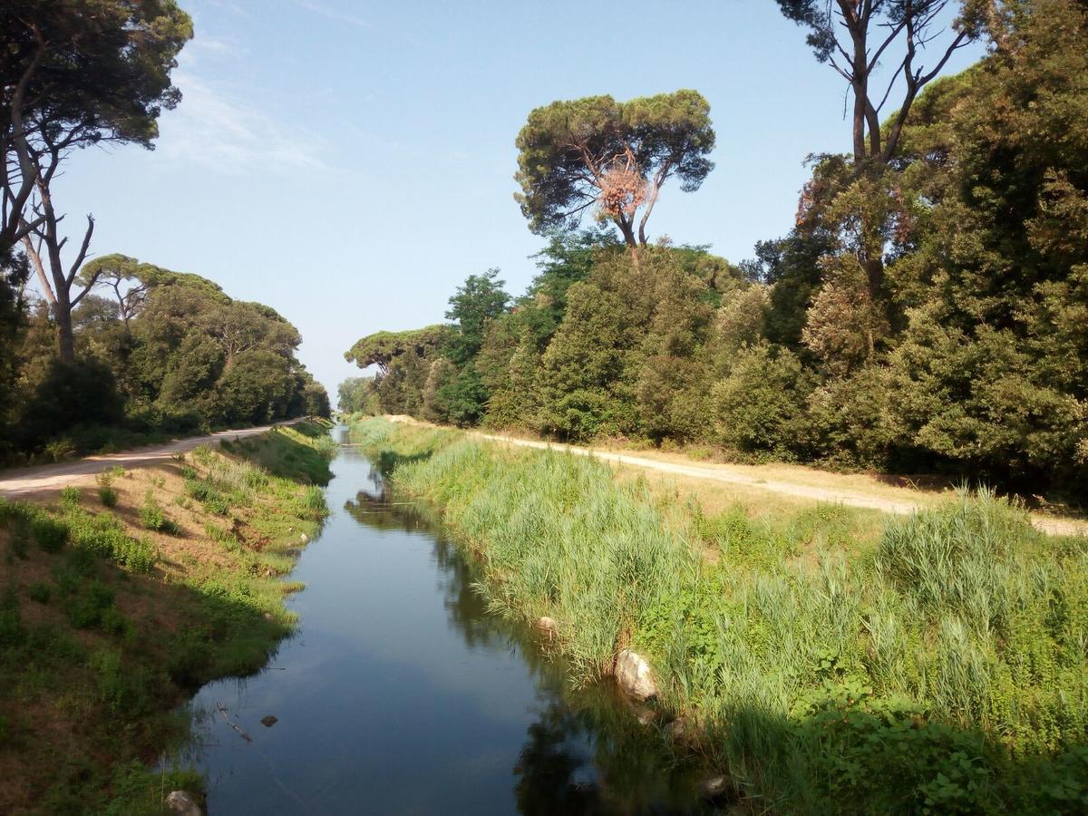 Campeggio Boscoverde Torre del Lago Puccini Kültér fotó