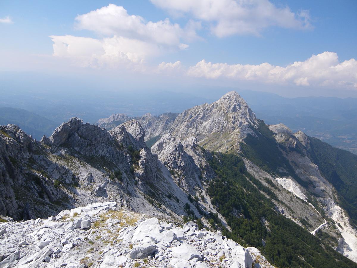 Campeggio Boscoverde Torre del Lago Puccini Kültér fotó