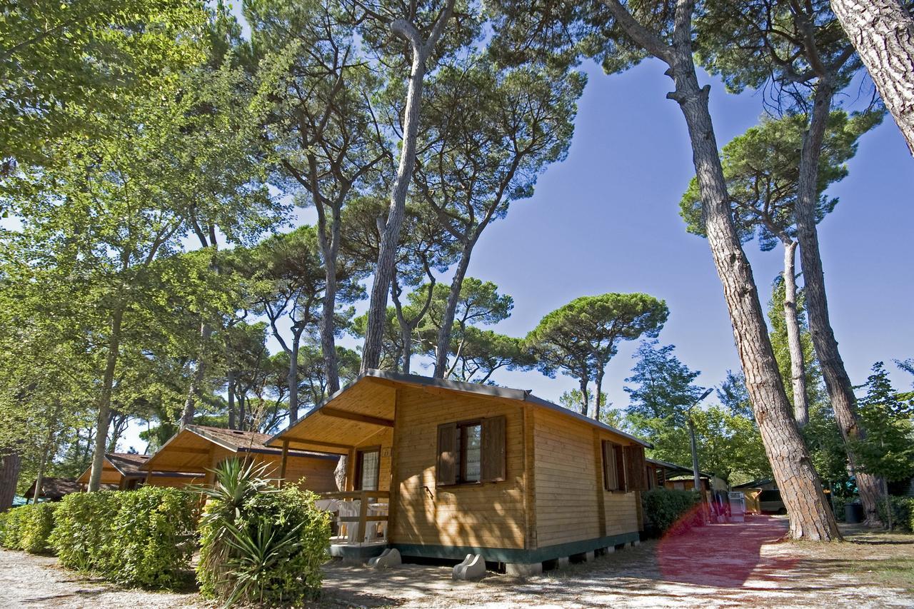 Campeggio Boscoverde Torre del Lago Puccini Kültér fotó